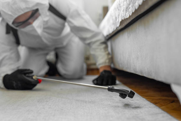 Professional Cockroach Control technician working in Plainwell, MI