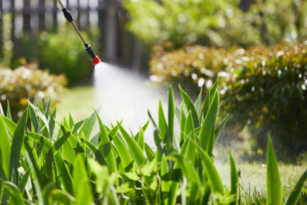 24/7 Emergency Cockroach Control experts in Plainwell, MI