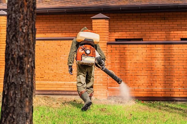 Top rated local Cockroach Control specialists in Plainwell, MI